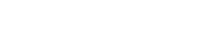 BoltAudit